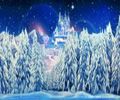 Winter Wonderland Theme Party Hire